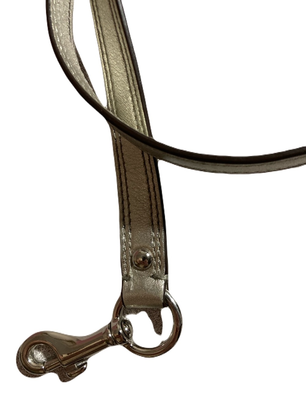 Coach Ashley Leather Metallic Silver Crossbody Strap